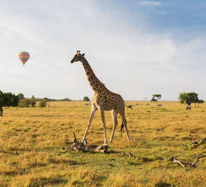 Un sogno di viaggio - Classic Kenya con Francesca Gambacorta