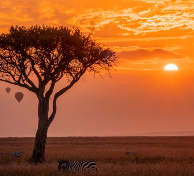 Un sogno di viaggio - Classic Kenya con Francesca Gambacorta