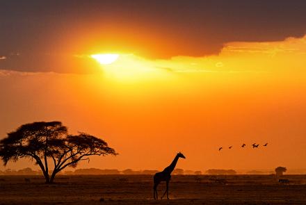 un sogno di viaggio - Classic Kenya